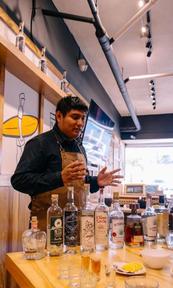 The Full Spectrum of Agave