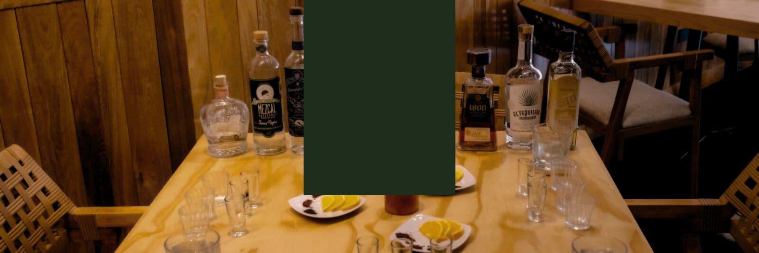 Tequila/Mezcal Tasting & Cocktail Class in San Jose del Cabo
