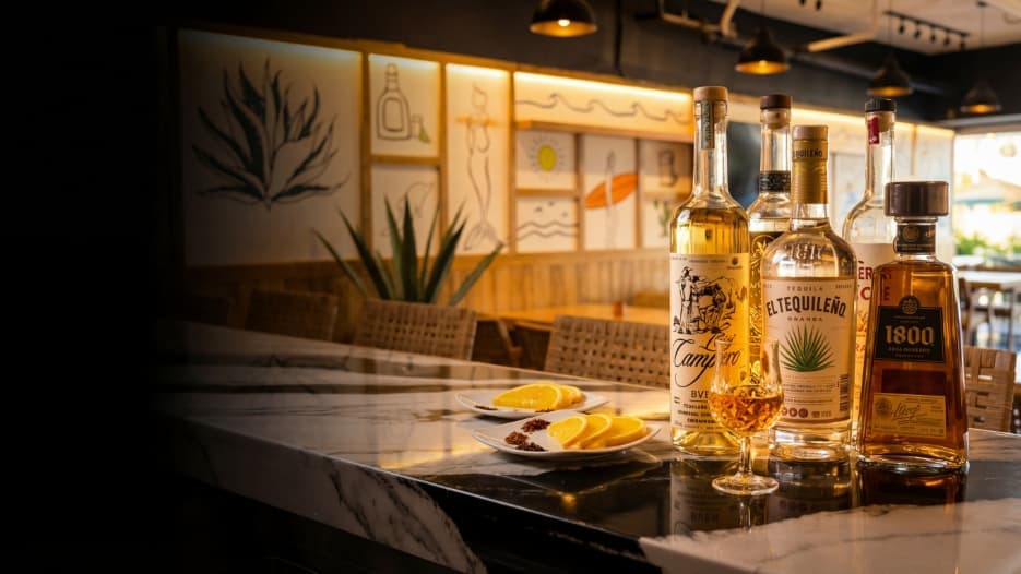 Best mezcal tasting experience at Agavia Bar in Los Cabos